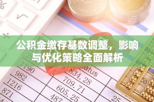 吉首公积金缴存基数调整，影响与优化策略全面解析
