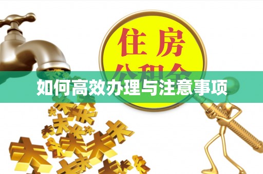 吉首如何高效办理与注意事项