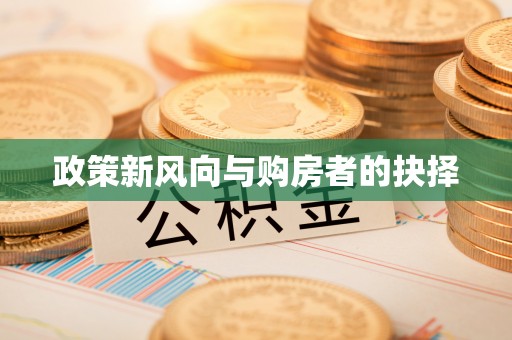 吉首政策新风向与购房者的抉择