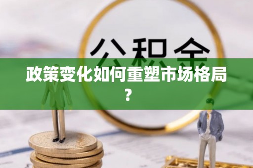 吉首政策变化如何重塑市场格局？
