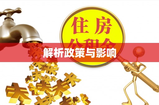 吉首解析政策与影响
