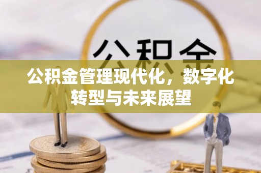 吉首公积金管理现代化，数字化转型与未来展望