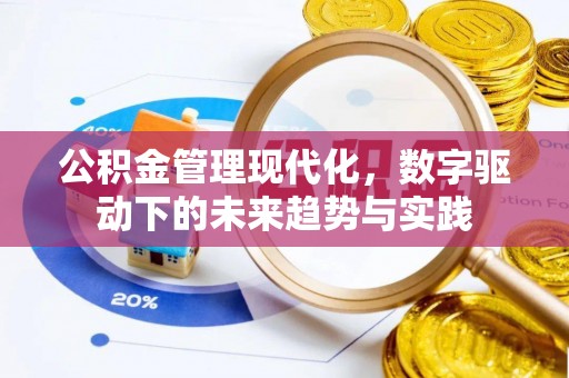 吉首公积金管理现代化，数字驱动下的未来趋势与实践