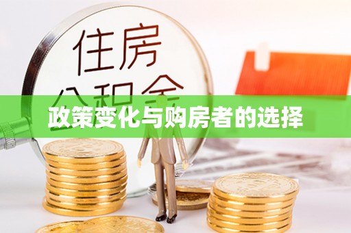 吉首政策变化与购房者的选择
