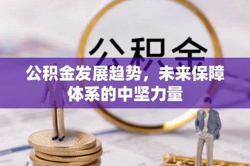 吉首公积金发展趋势，未来保障体系的中坚力量