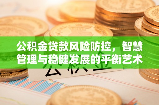 吉首公积金贷款风险防控，智慧管理与稳健发展的平衡艺术