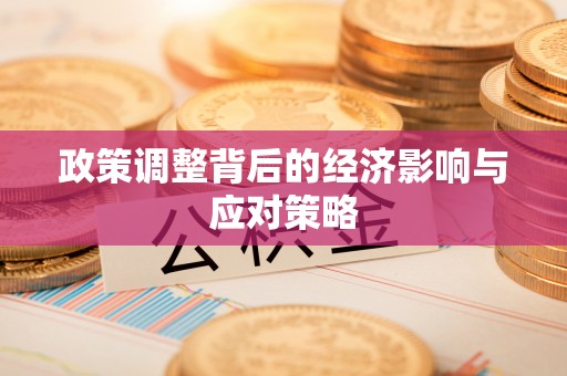 吉首政策调整背后的经济影响与应对策略