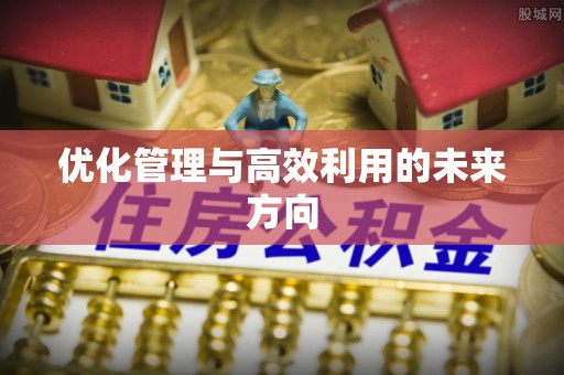 吉首优化管理与高效利用的未来方向