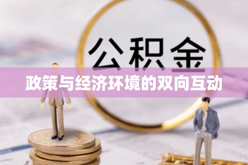 吉首政策与经济环境的双向互动