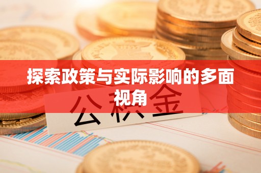 吉首探索政策与实际影响的多面视角