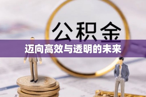 吉首迈向高效与透明的未来