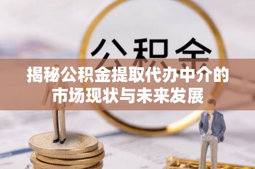 吉首揭秘公积金提取代办中介的市场现状与未来发展