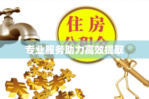 吉首专业服务助力高效提取