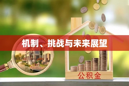 吉首机制、挑战与未来展望