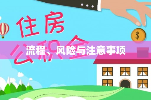 吉首流程、风险与注意事项