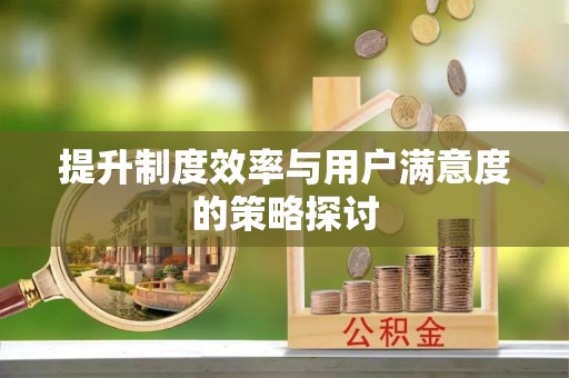 吉首提升制度效率与用户满意度的策略探讨